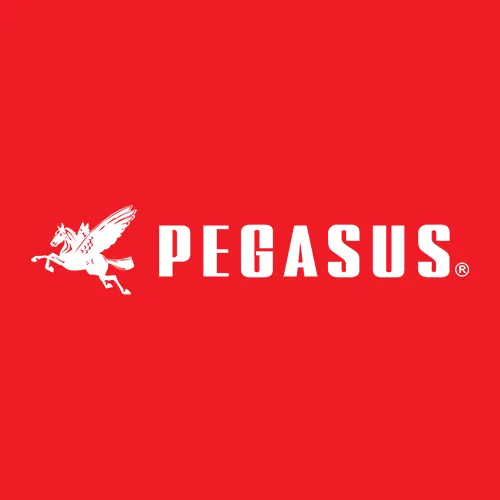 Pegasus_1